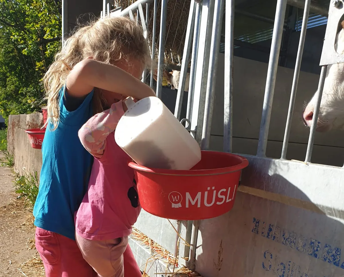 Ferienhof Horn im Mossautal