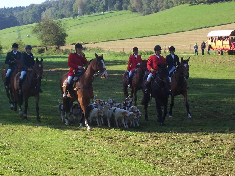 Fuchsjagd – Veranstaltung im Mossautal