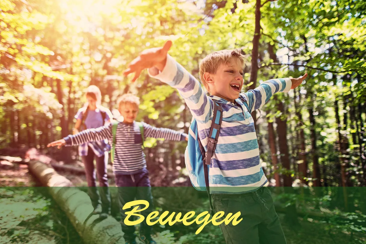 Naturbelassener Wanderweg durch den Buchenwald im Odenwald