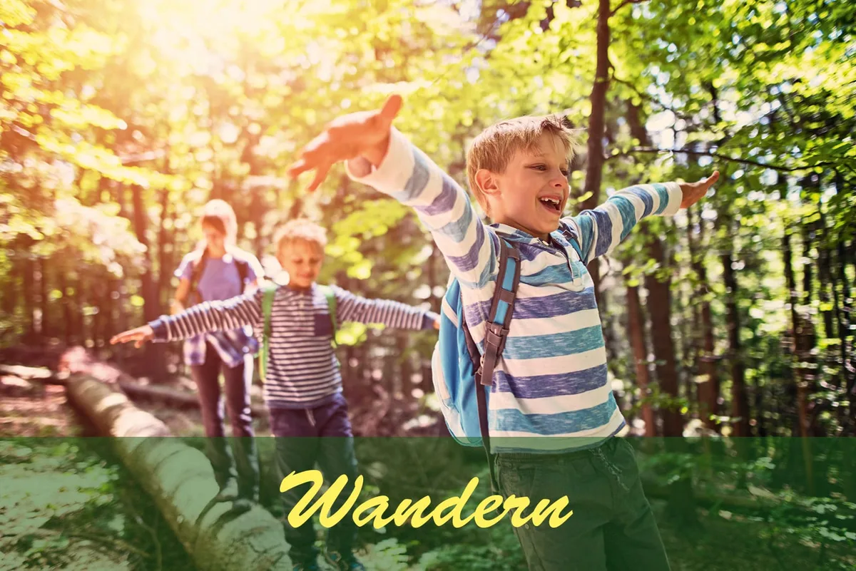 Wandern auf den Drachenwegen im Mossautal